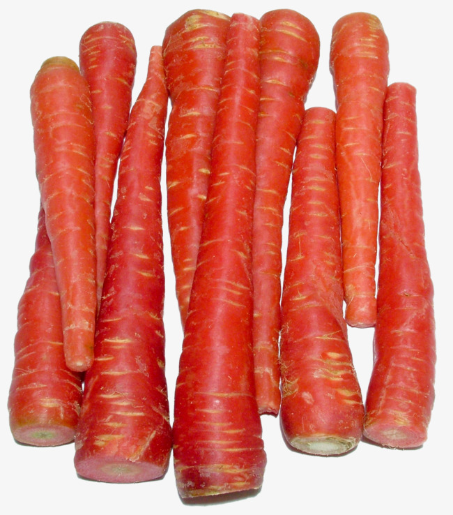 carrots clipart red carrot
