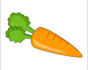 carrot clipart single