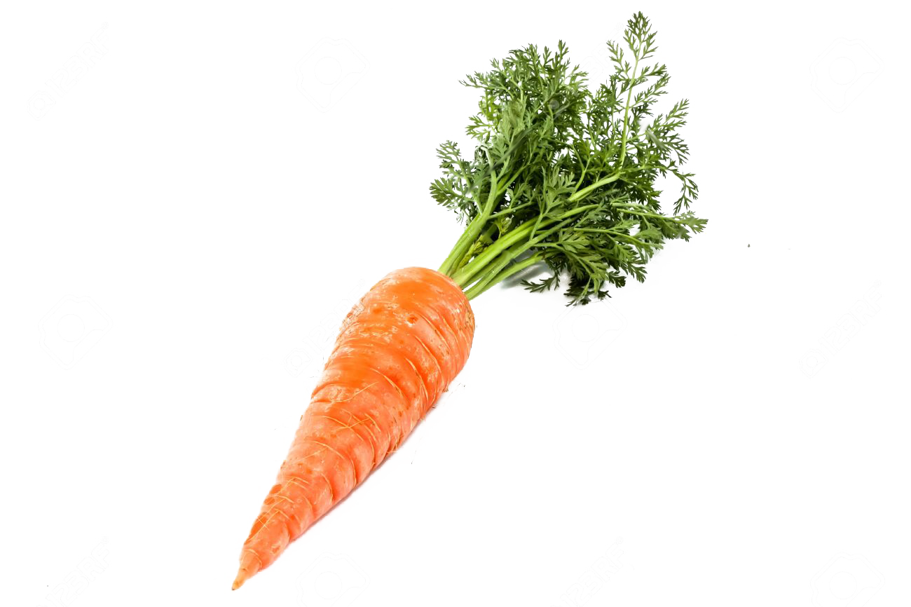 Carrots clipart single. Carrot food vegetables 