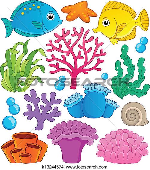 cartoon clipart coral