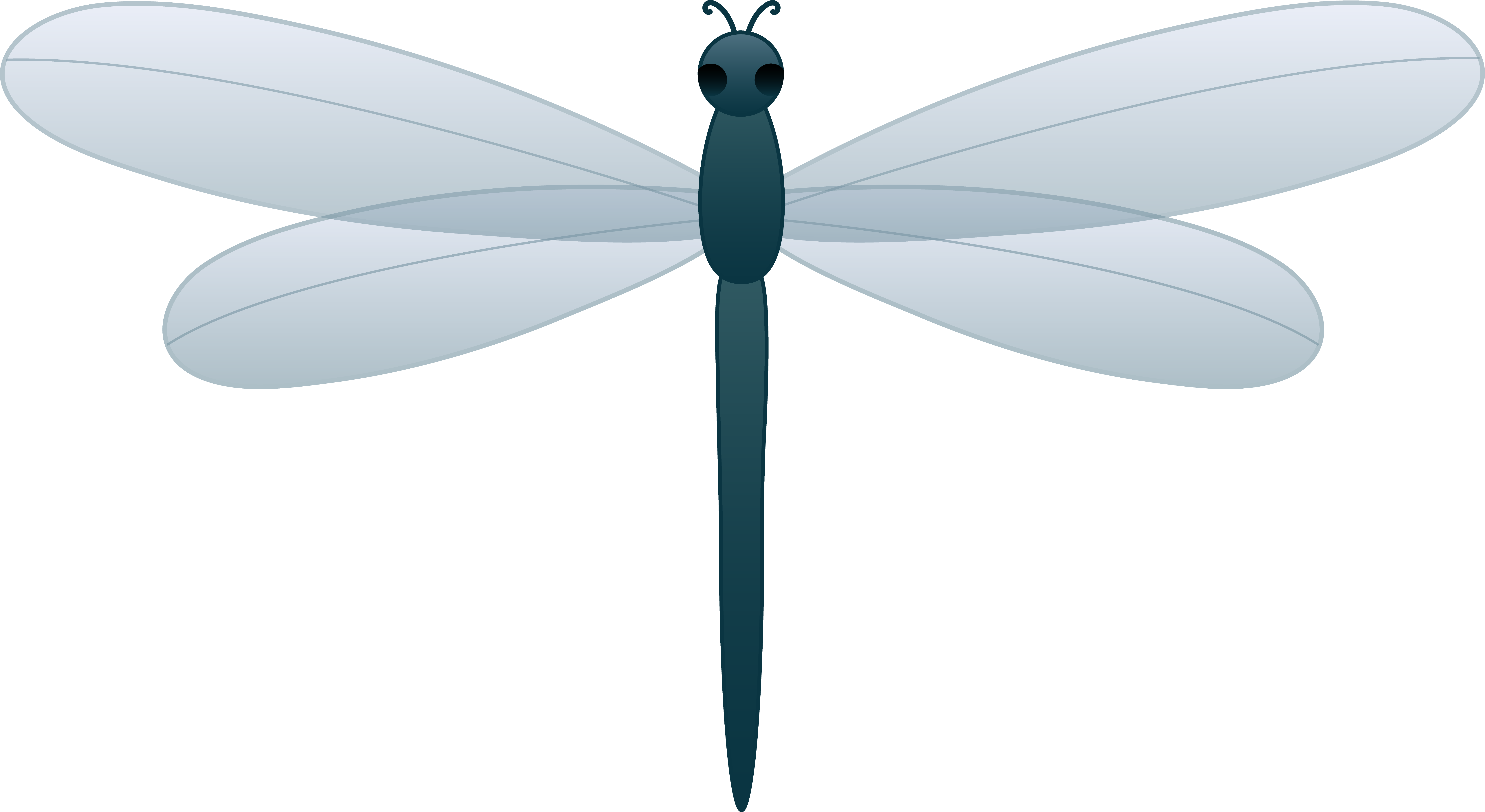 dragonfly clipart jpeg