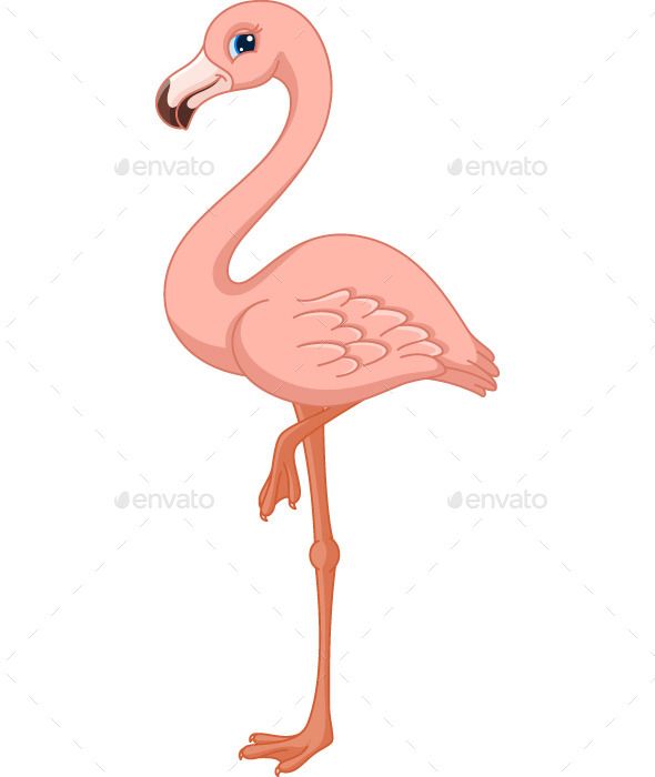 cartoon clipart flamingo