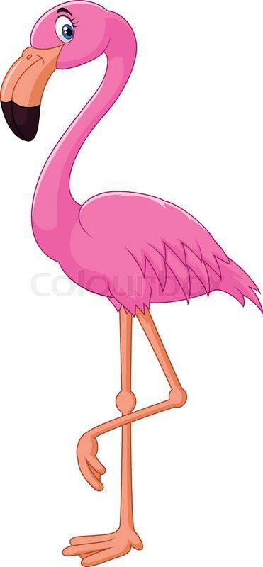 Cartoon flamingo