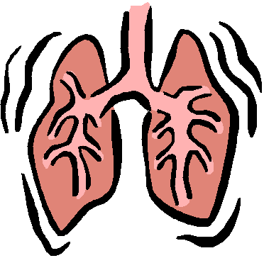 cartoon clipart lung