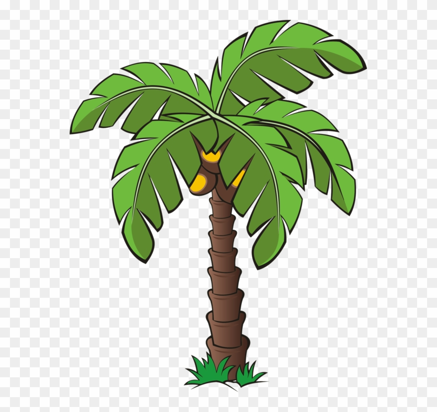 palm clipart date tree