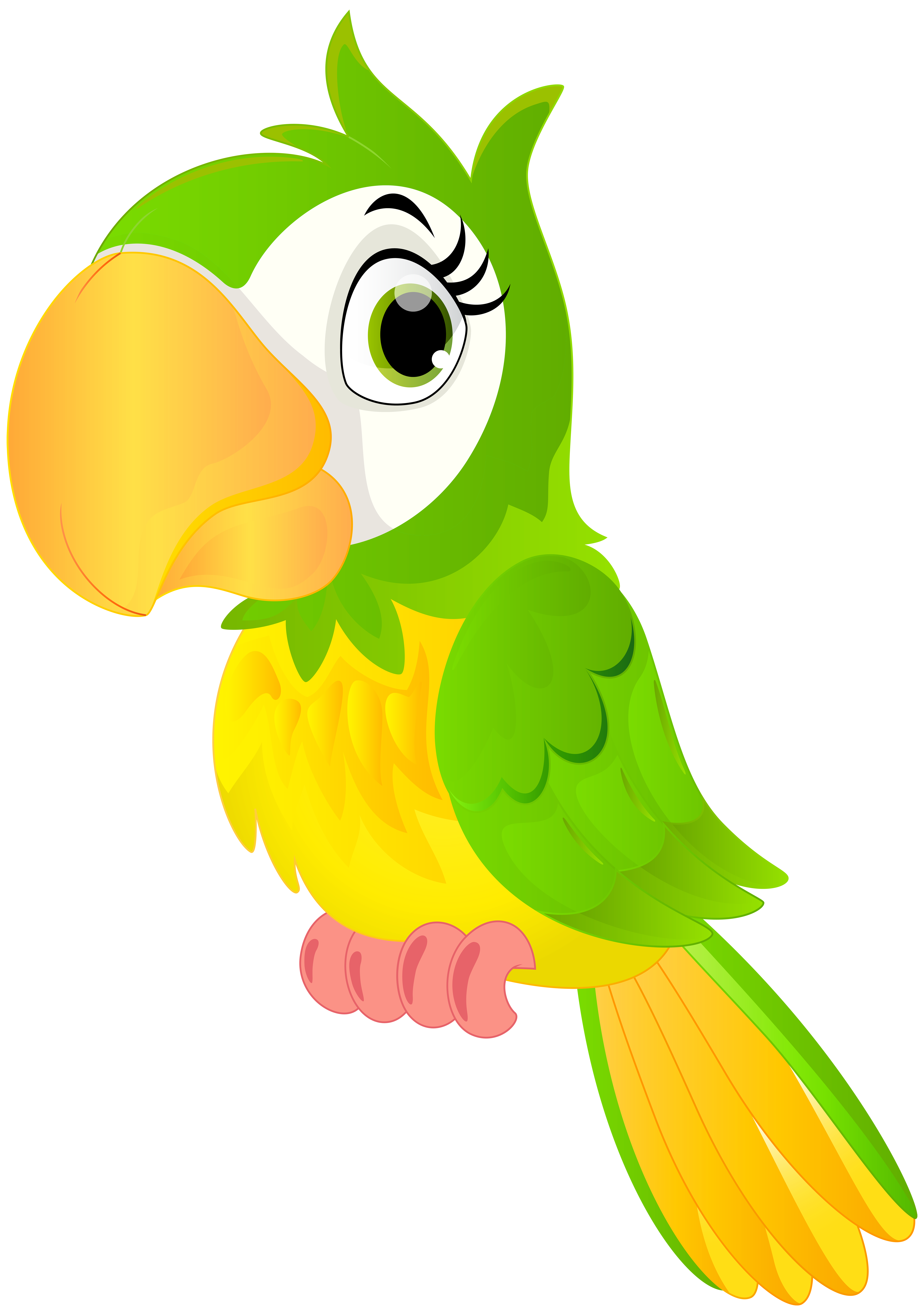 Cartoon clipart parrot Cartoon parrot Transparent FREE for download on WebStockReview 2020