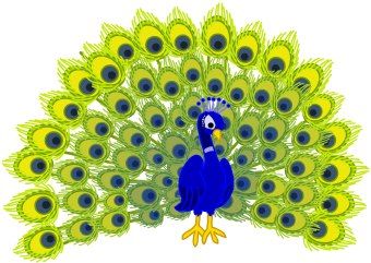 peacock clipart animated