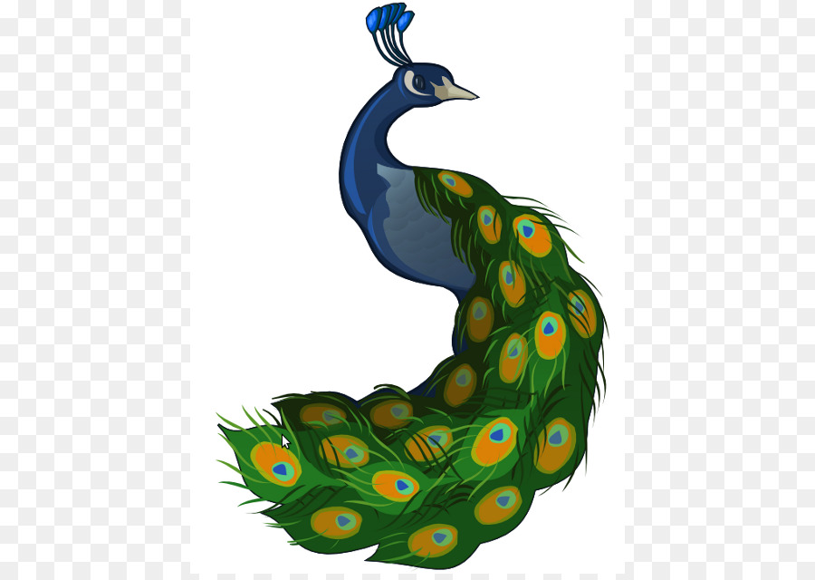 cartoon clipart peacock