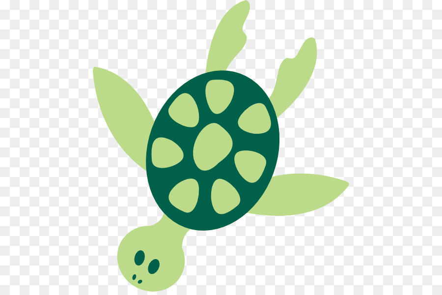 cartoon clipart sea turtle