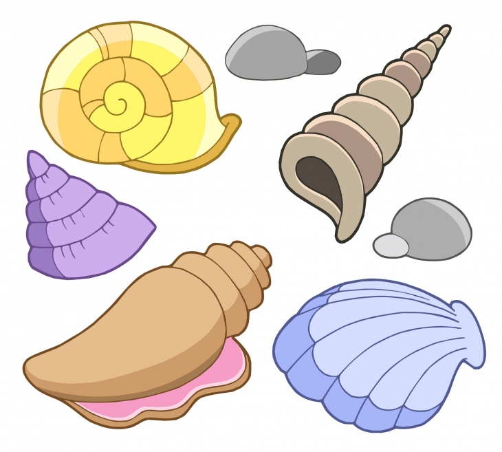 cartoon clipart seashell