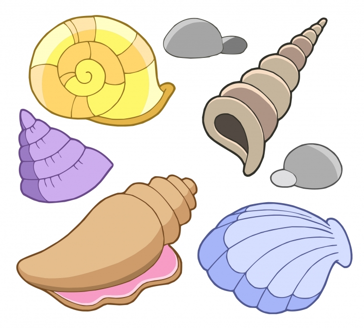Cartoon clipart seashell. Best photos of free