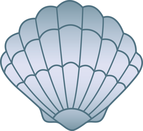 shell clipart clear
