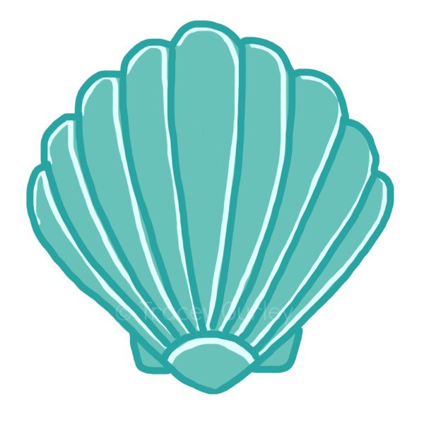 cartoon clipart seashell