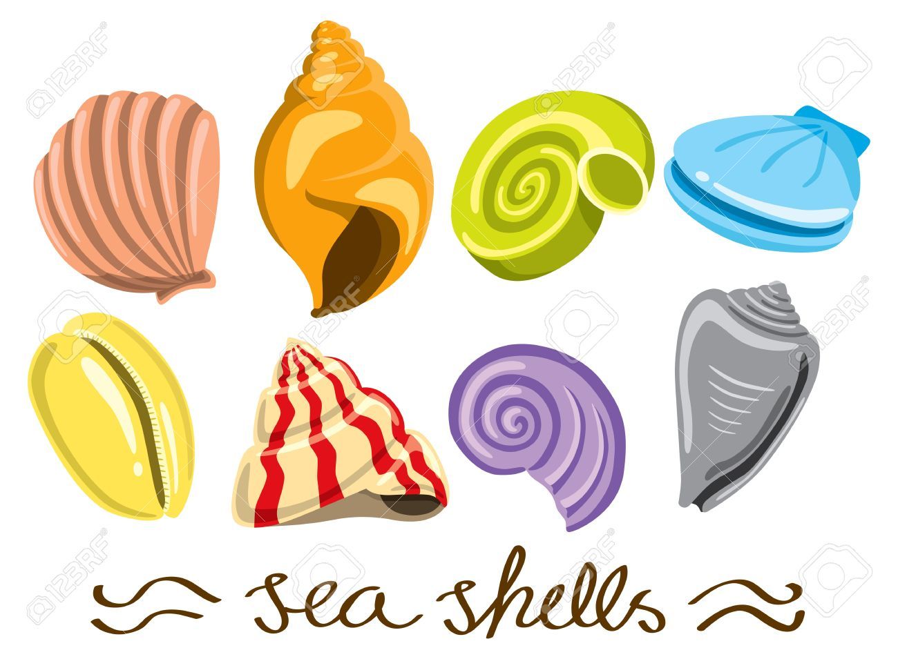 seashells clipart cartoon