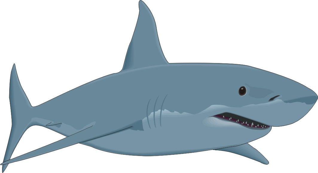 clipart shark clip art