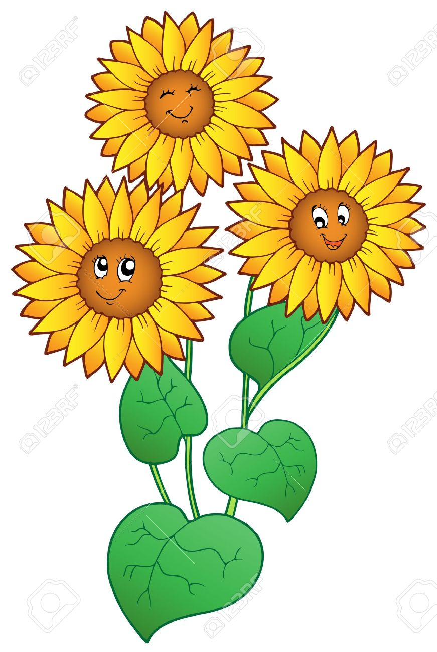 Cartoon clipart sunflower. Drawing pencil and in