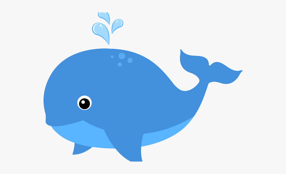 Sea life animals transparent. Clipart whale organism