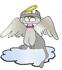 cat clipart angel