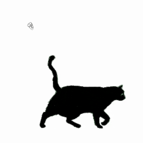 Cat clipart animation. Black gif by hilbrand