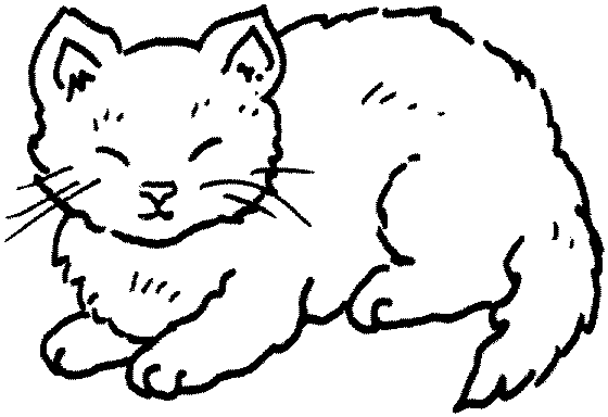 Cat clipart black and white. Clip art kitties free