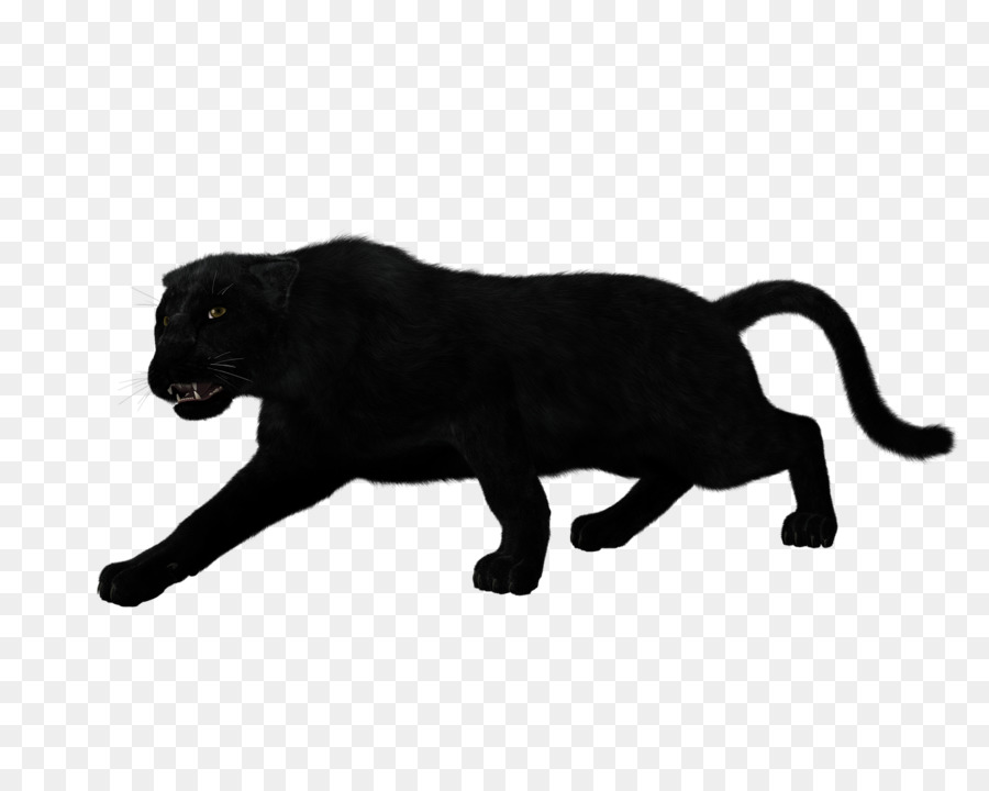 Jaguar silhouette leopard clip. Cat clipart black panther