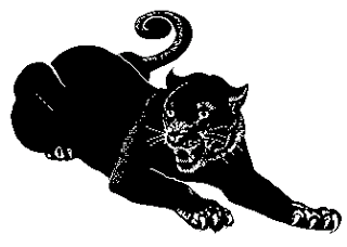 For cfn sketchaday pixel. Cat clipart black panther