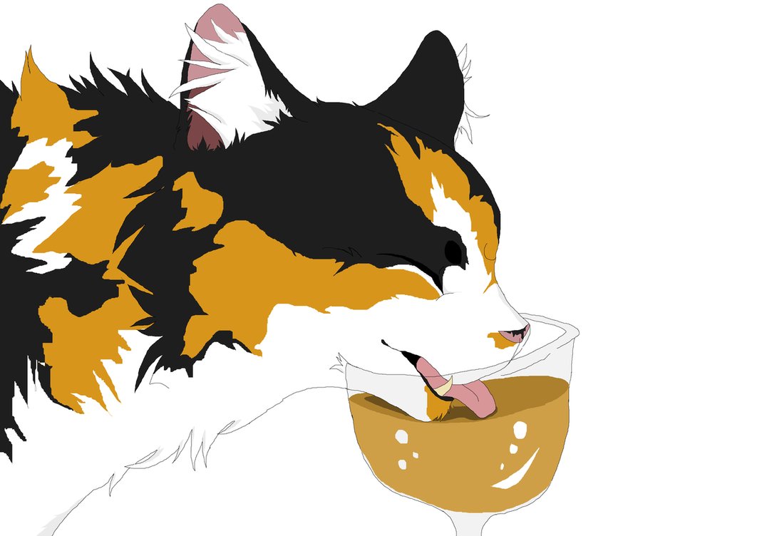 Cats clipart calico. A cat drinking out
