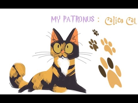 Cats clipart calico. My patronus cat youtube