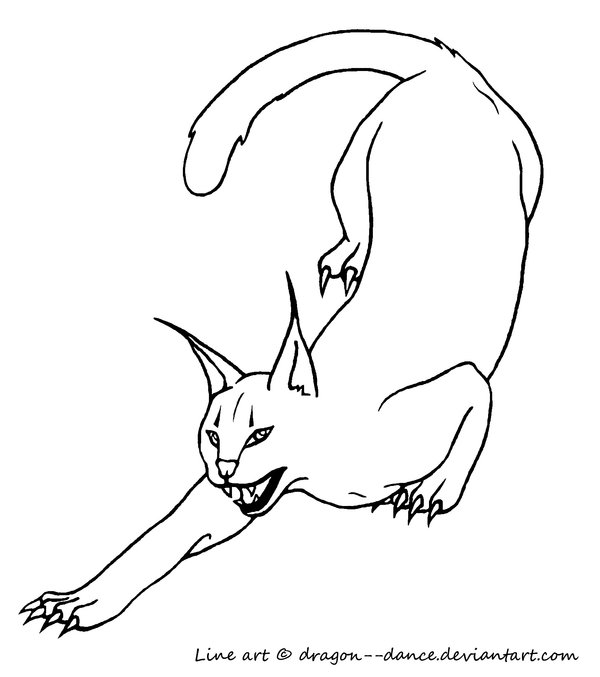 Cats clipart caracal. Line art by dansudragon