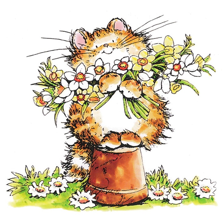 cat clipart floral