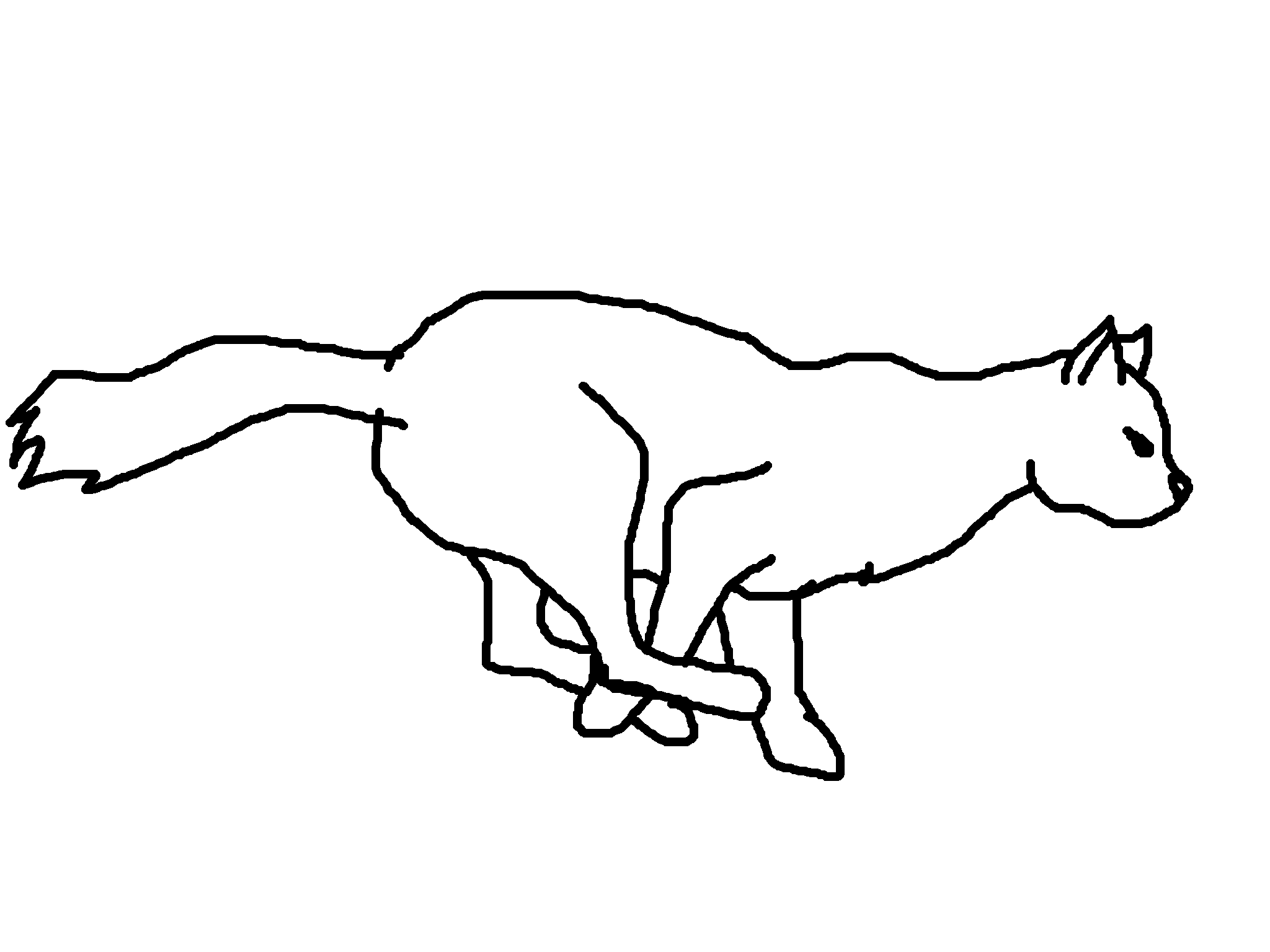 cats clipart run