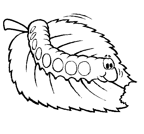 Caterpillar black and white