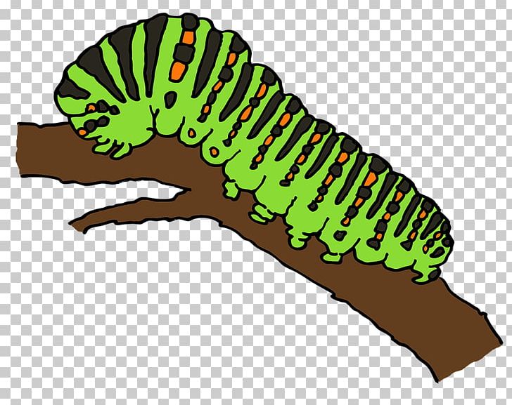 Worm png animaatio animals. Caterpillar clipart butterfly