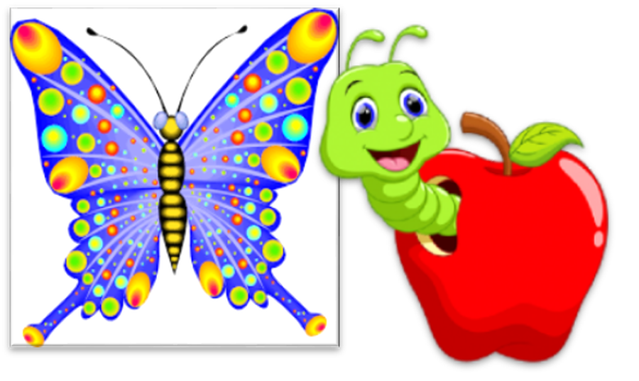 clipart butterfly school