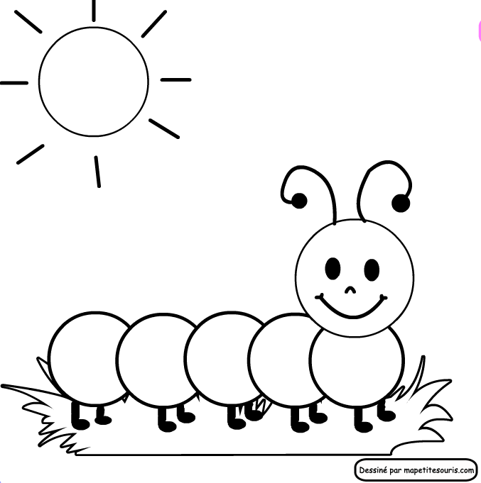 Pages of caterpillars free. Caterpillar clipart coloring page