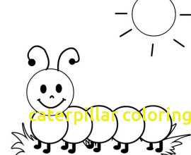 With pencil and in. Caterpillar clipart coloring page