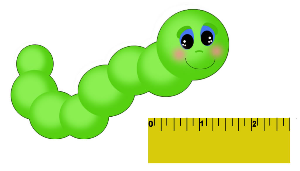 caterpillar clipart green worm