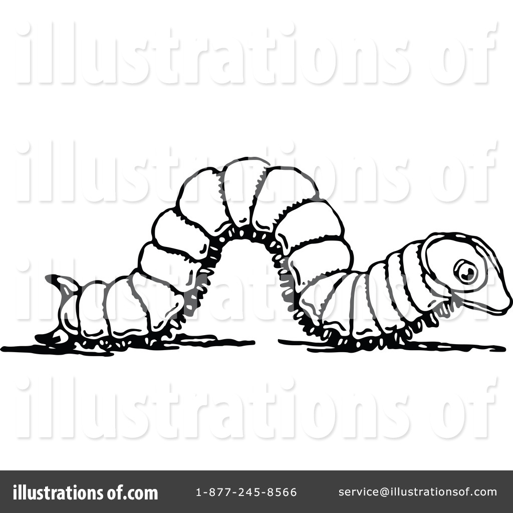By prawny vintage royaltyfree. Caterpillar clipart illustration