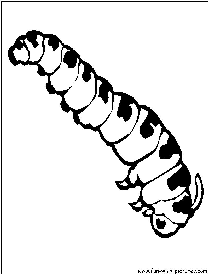 caterpillar clipart lineart