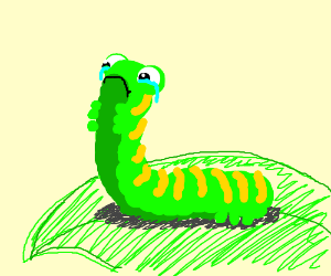 Mr bean fany worm. Caterpillar clipart sad
