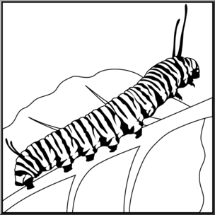 Caterpillar clipart sketch. To butterfly drawing free