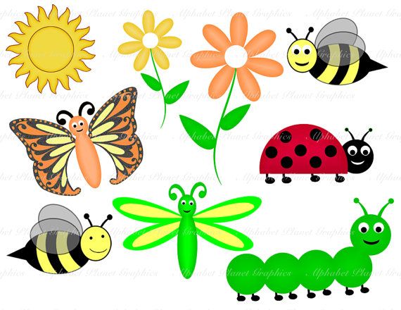 Clothing ladybug caterpillar bee. Insect clipart spring