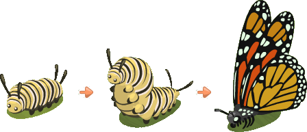 Caterpillar clipart transparent background. Png image mart