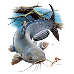 Vector clip art of. Catfish clipart abstract