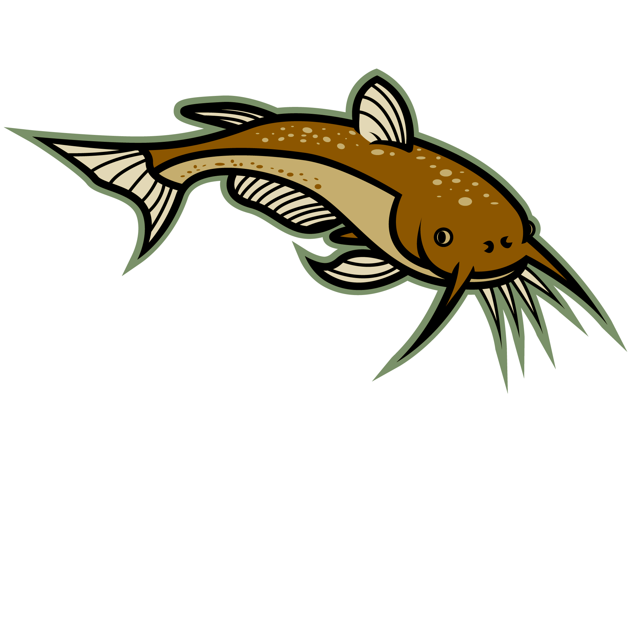 catfish clipart animated