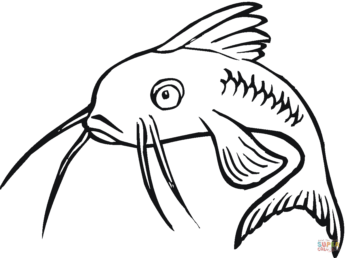 Catfish clipart black and white. Coloring page free printable