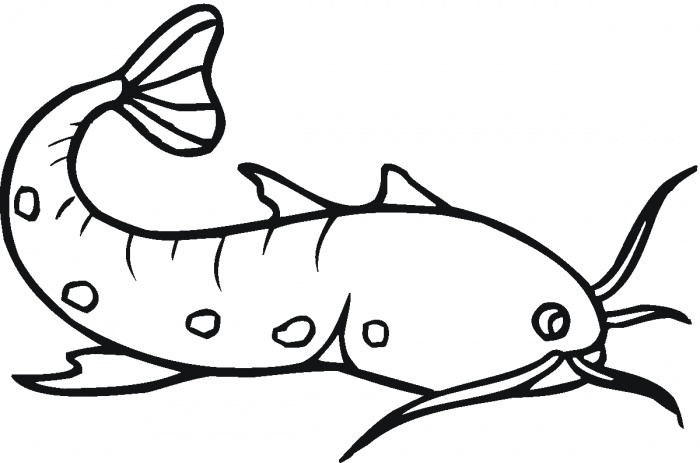 Catfish clipart black and white. 