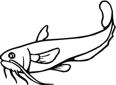 Coloring page free printable. Catfish clipart black and white