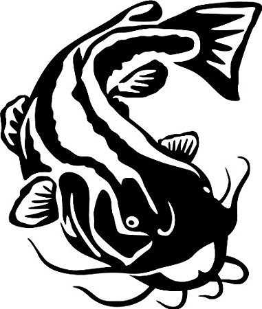 Catfish clipart black and white. Line drawing at getdrawings