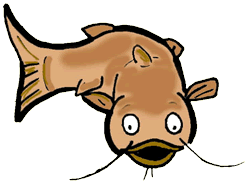 Catfish clipart cat fish. Free cliparts download clip